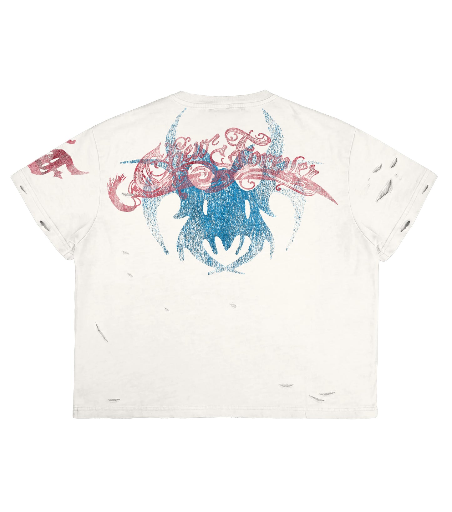 Pirate Boxy Tee